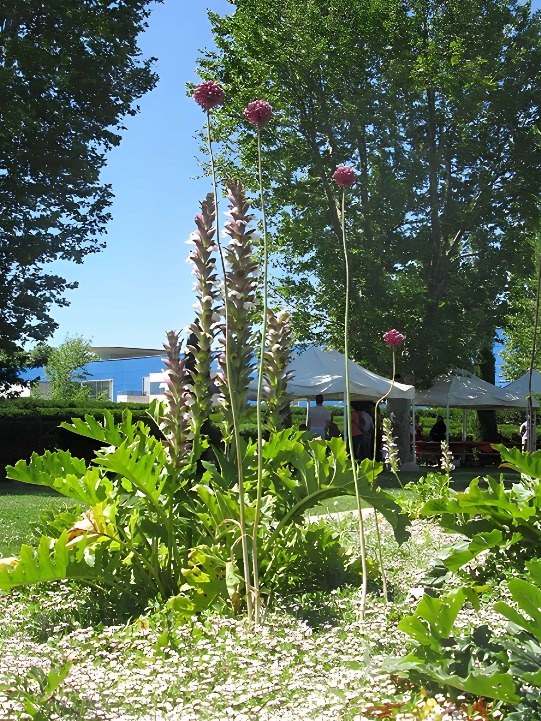 Cirque romain d'Arles