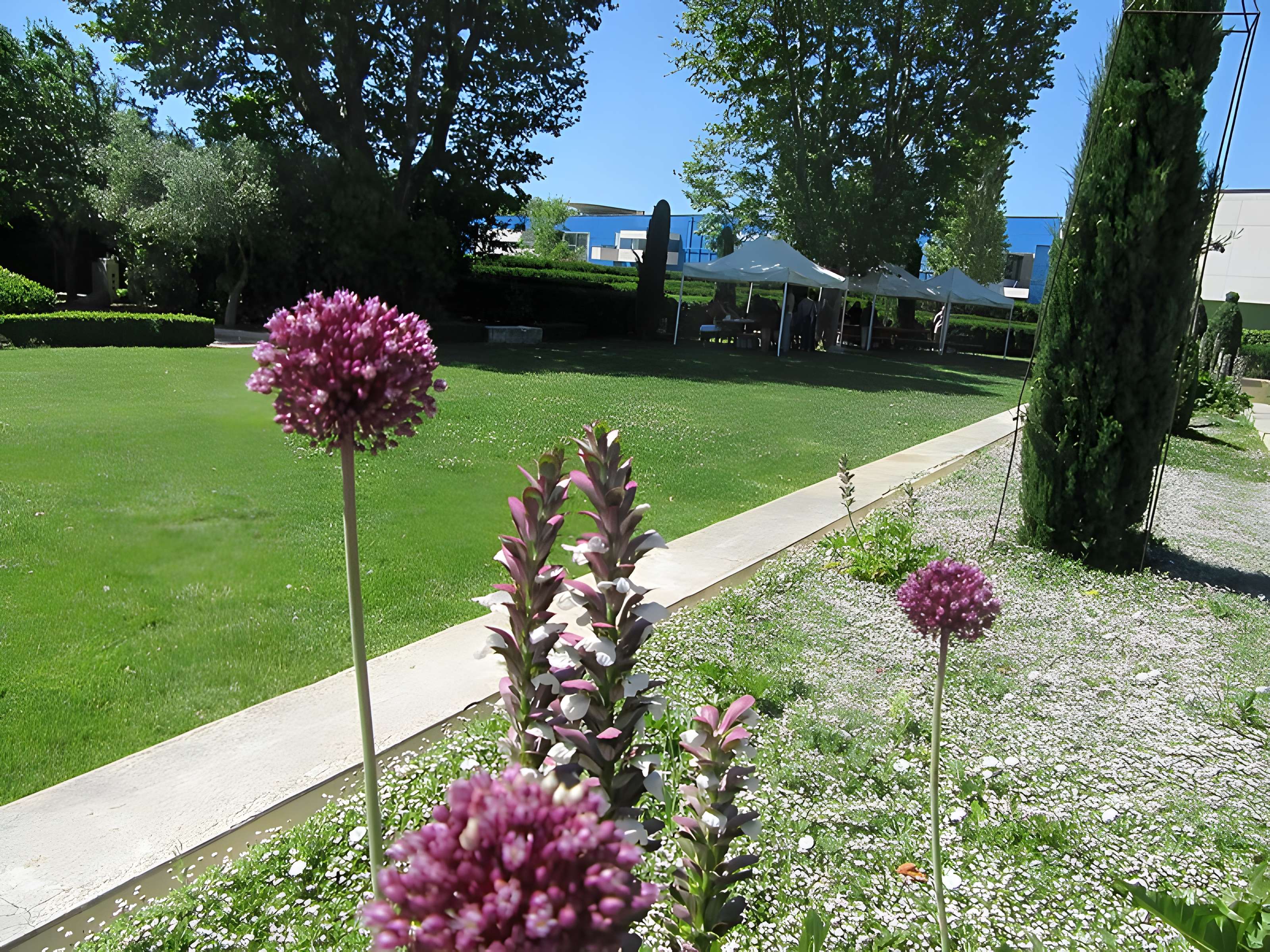 Cirque romain d'Arles