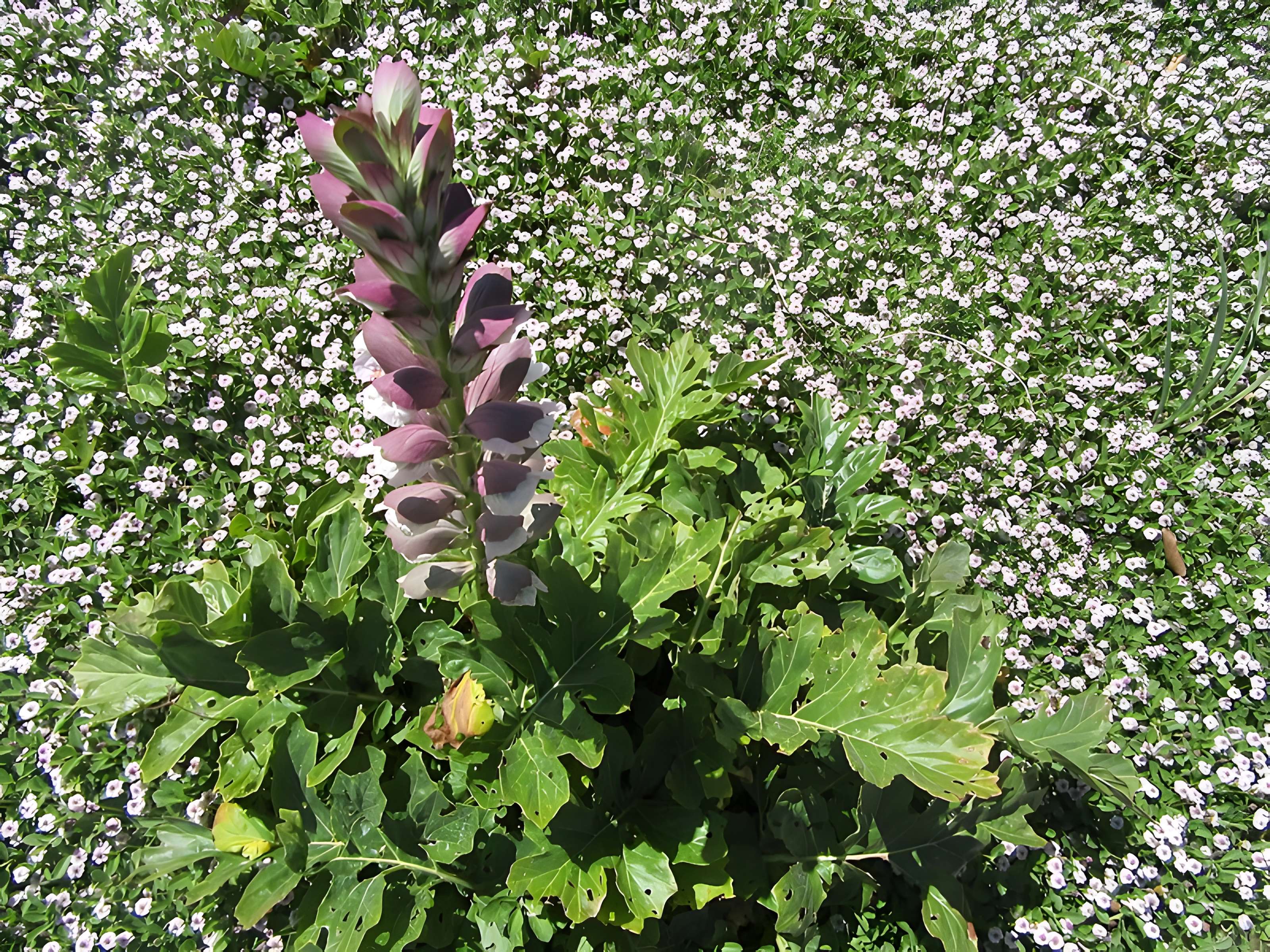 Cirque romain d'Arles