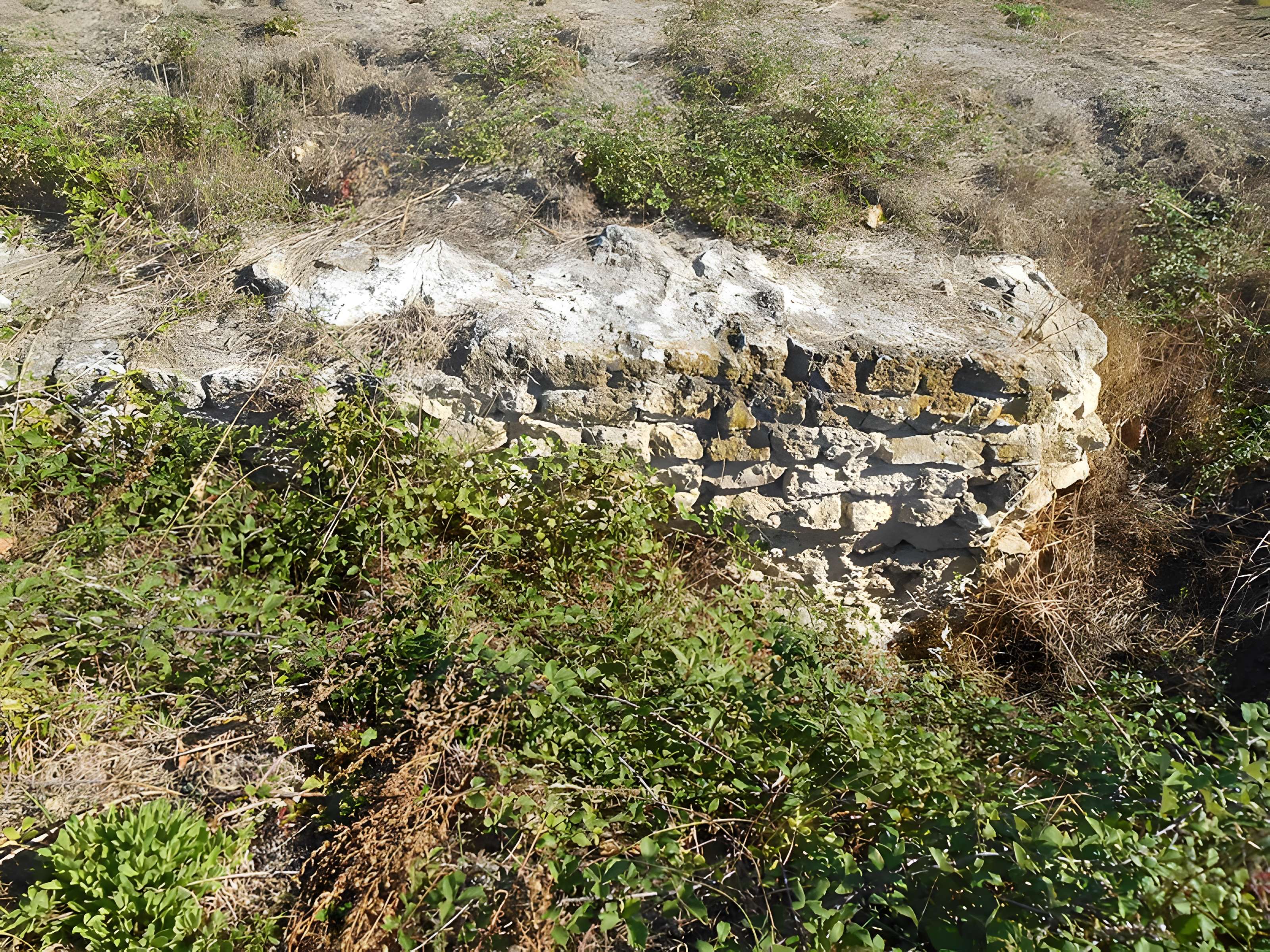 Cirque romain d'Arles