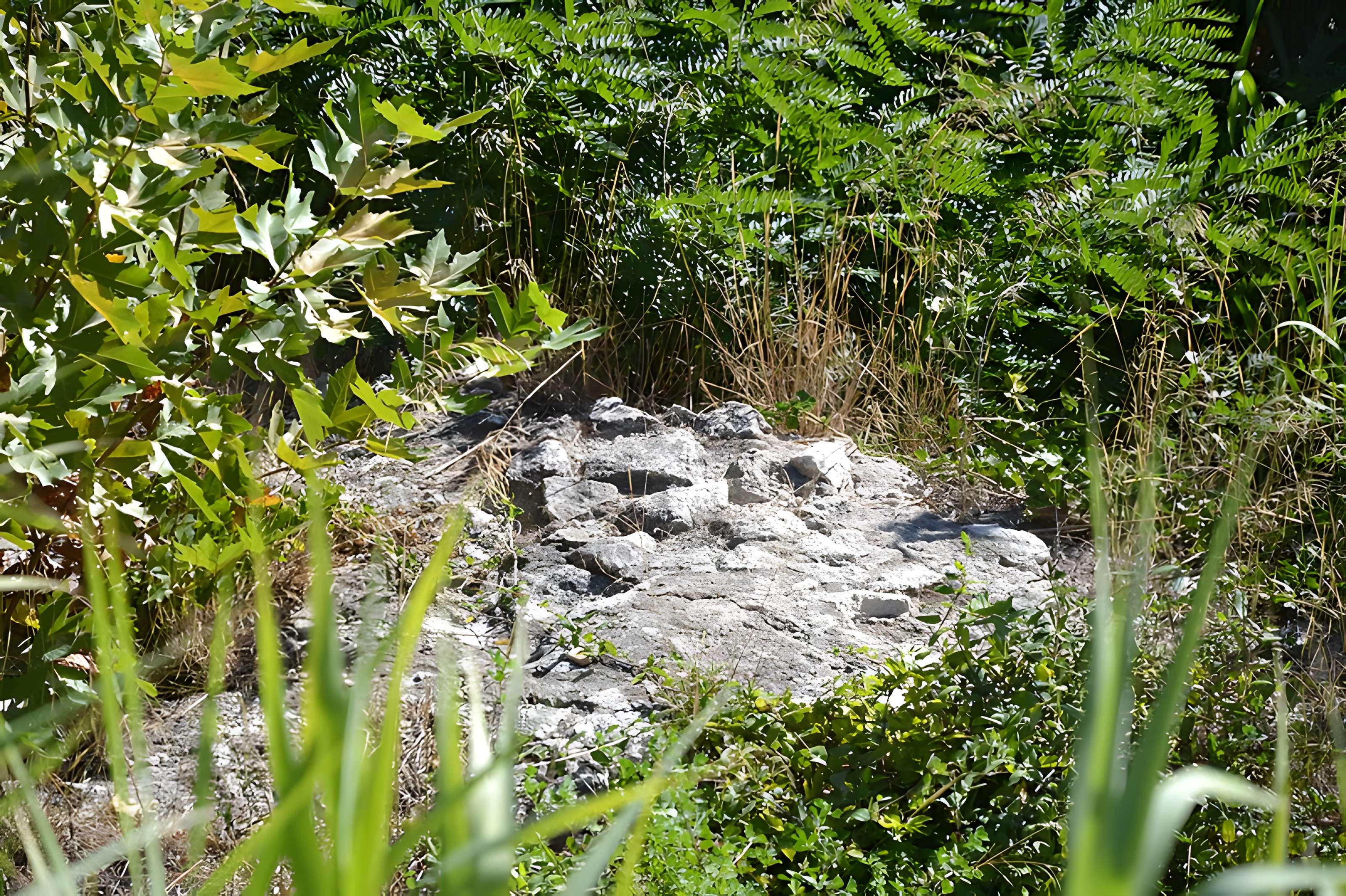 Cirque romain d'Arles