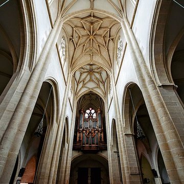 Collégiale Notre-Dame-des-Marais de Villefranche-sur-Saône