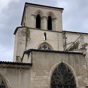 Collégiale Notre-Dame-des-Marais de Villefranche-sur-Saône