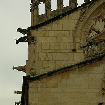 Collégiale Notre-Dame-des-Marais de Villefranche-sur-Saône