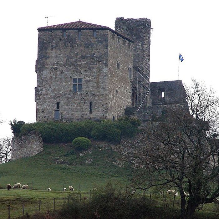 Photo de Château de Madaillan