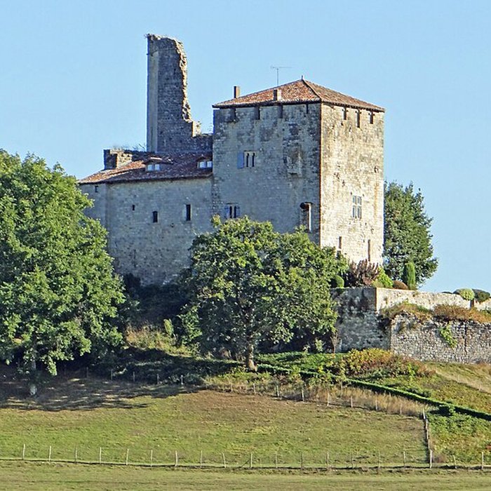 Photo de Château de Madaillan