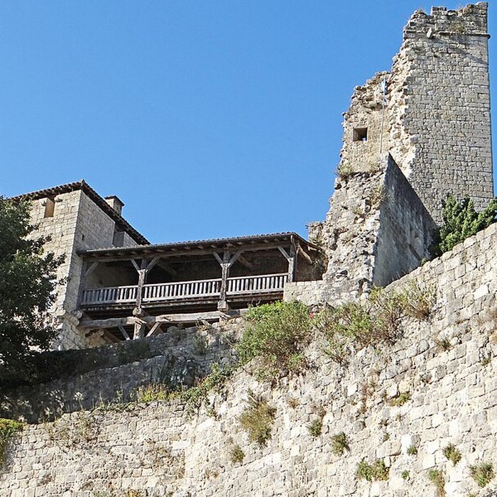 Photo de Château de Madaillan