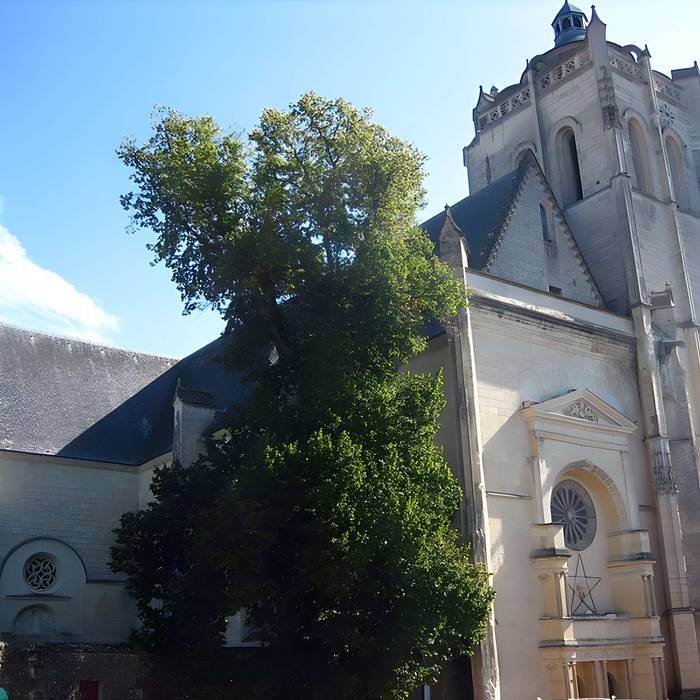 Photo de Collégiale Saint-Maurice dOiron