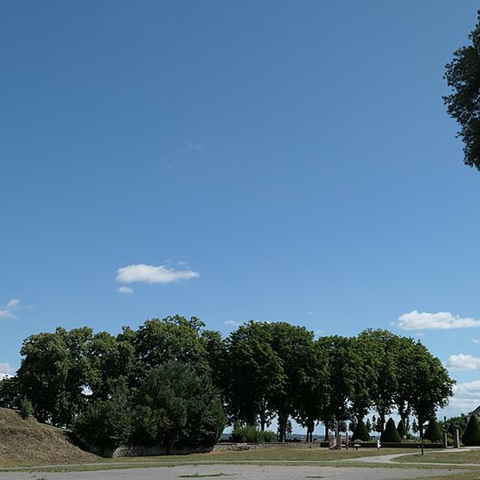Photo de Colonne de la duchesse dAngoulême à Saint-Florent-le-Vieil