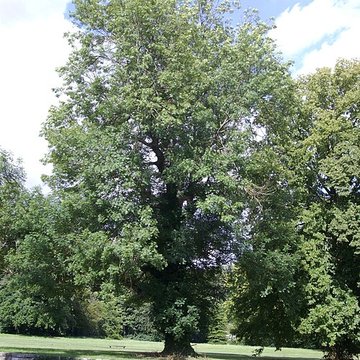 Château de Maintenon