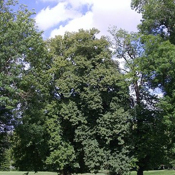 Château de Maintenon