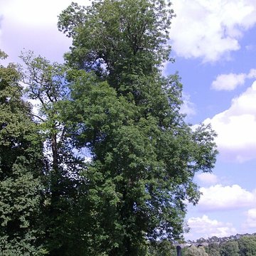 Château de Maintenon