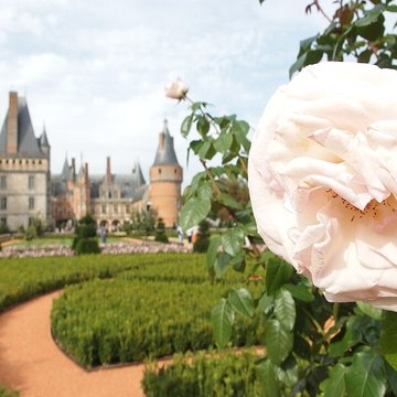 Château de Maintenon