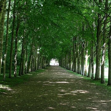 Château de Maintenon
