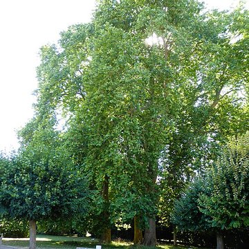 Château de Maintenon