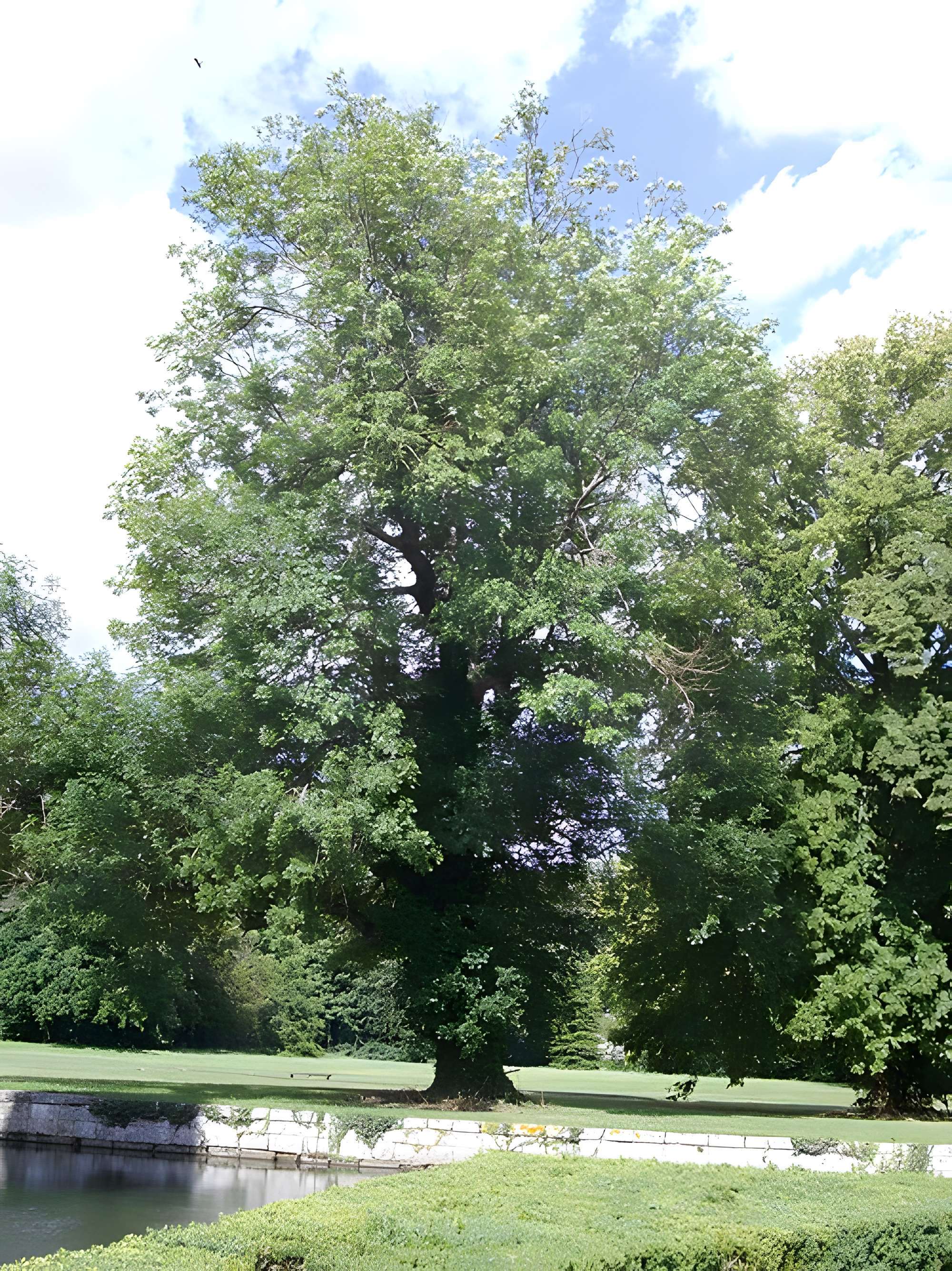 Château de Maintenon
