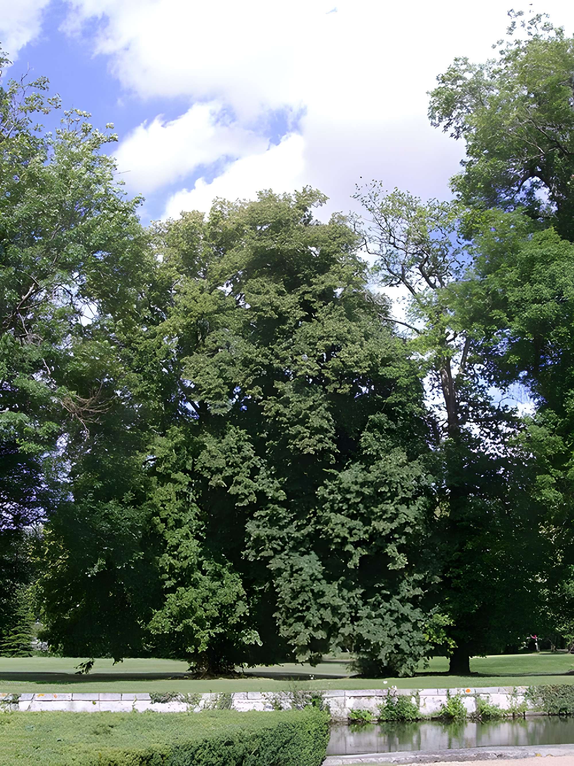 Château de Maintenon