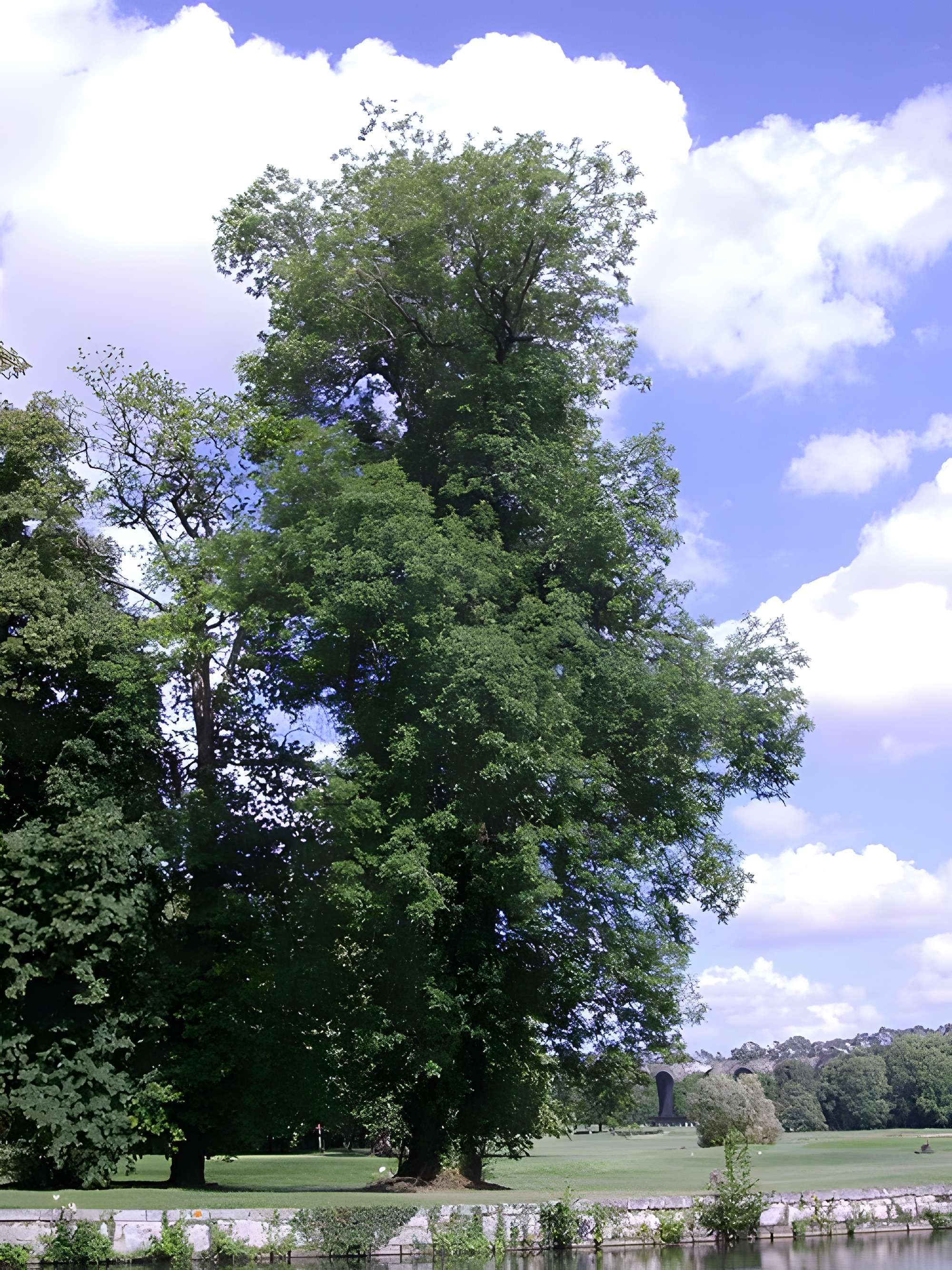 Château de Maintenon