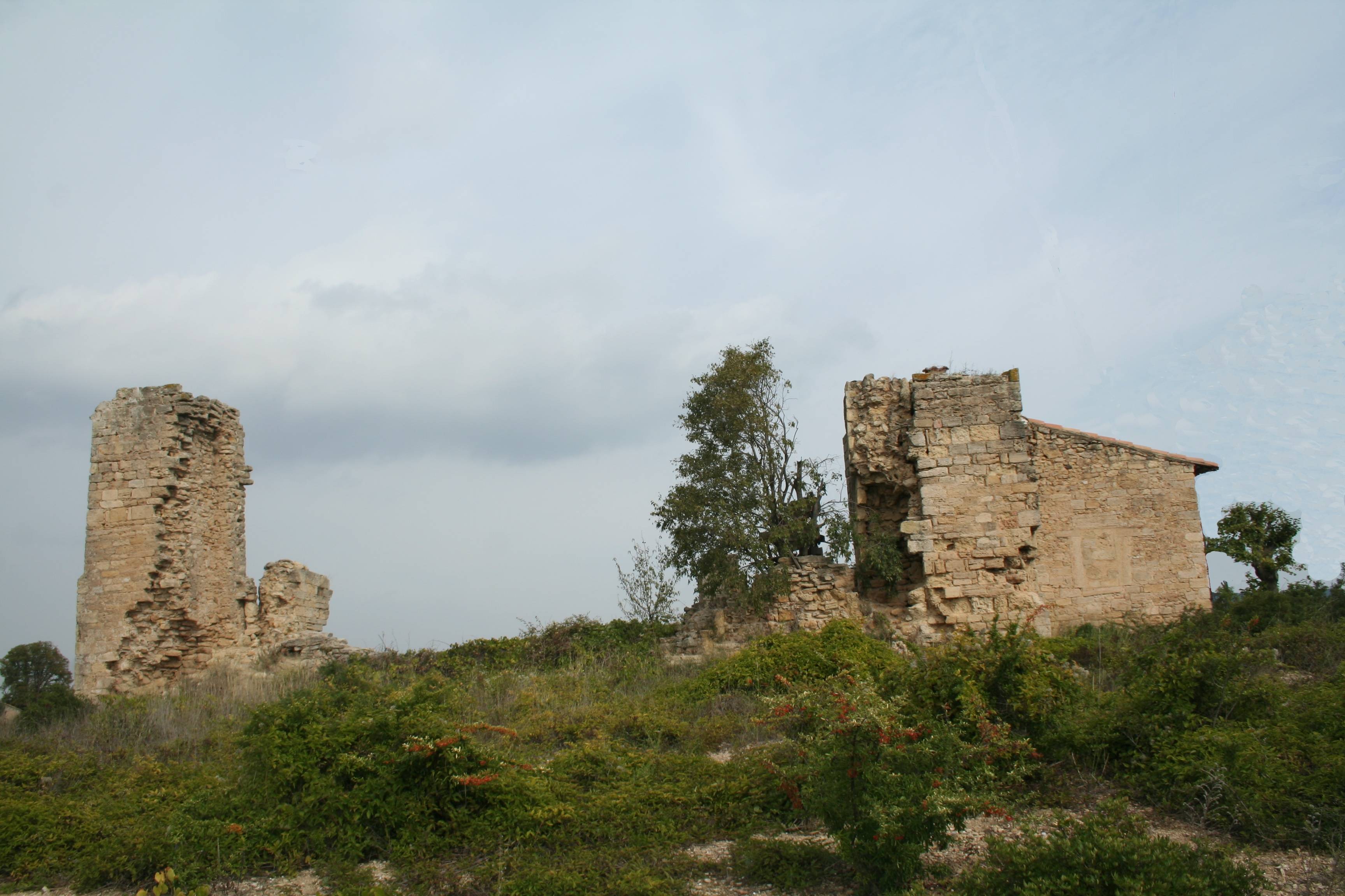 Photo de Chiesa di San Vincenzo di Giona