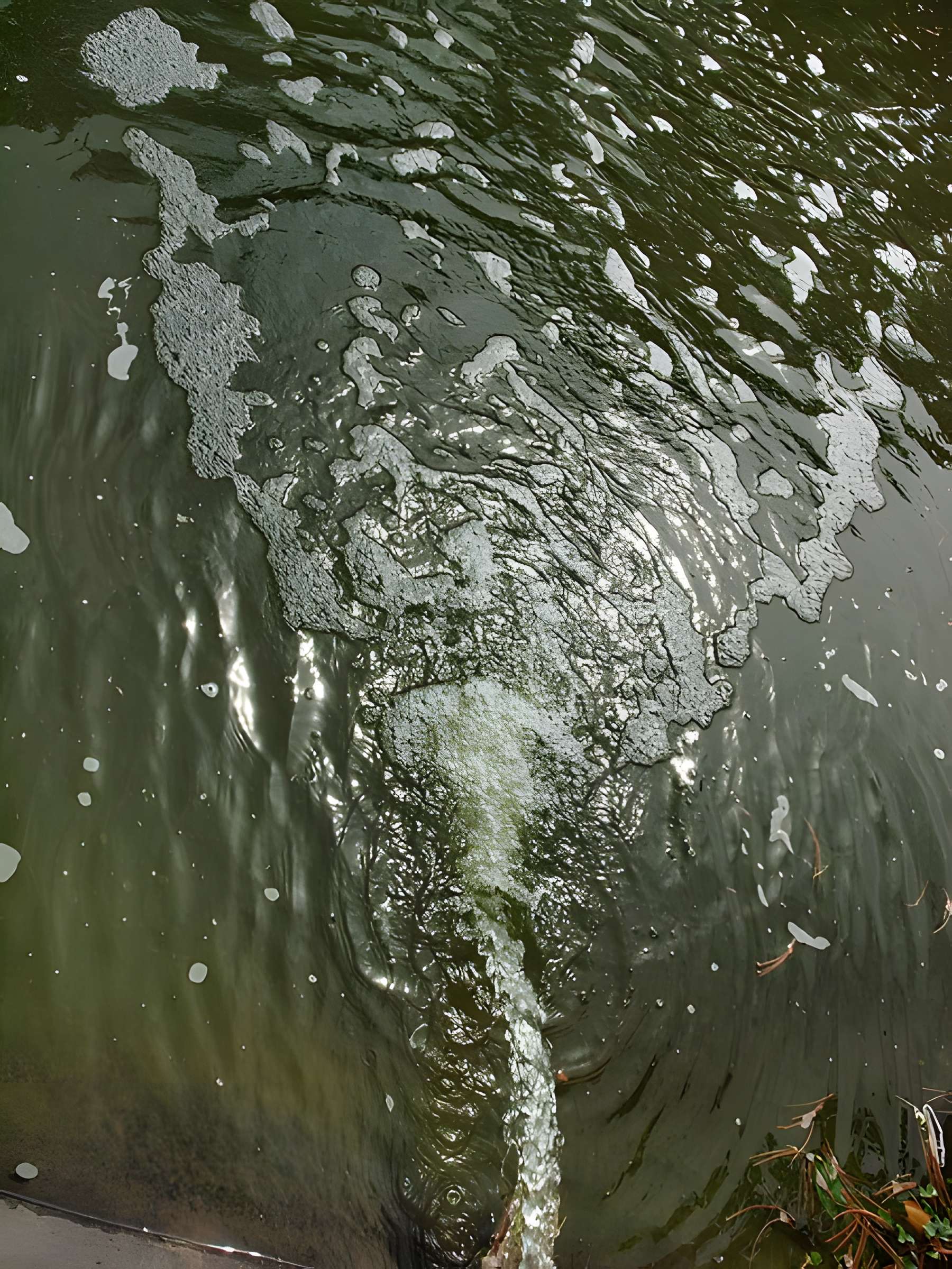 Cour d'appel de Riom