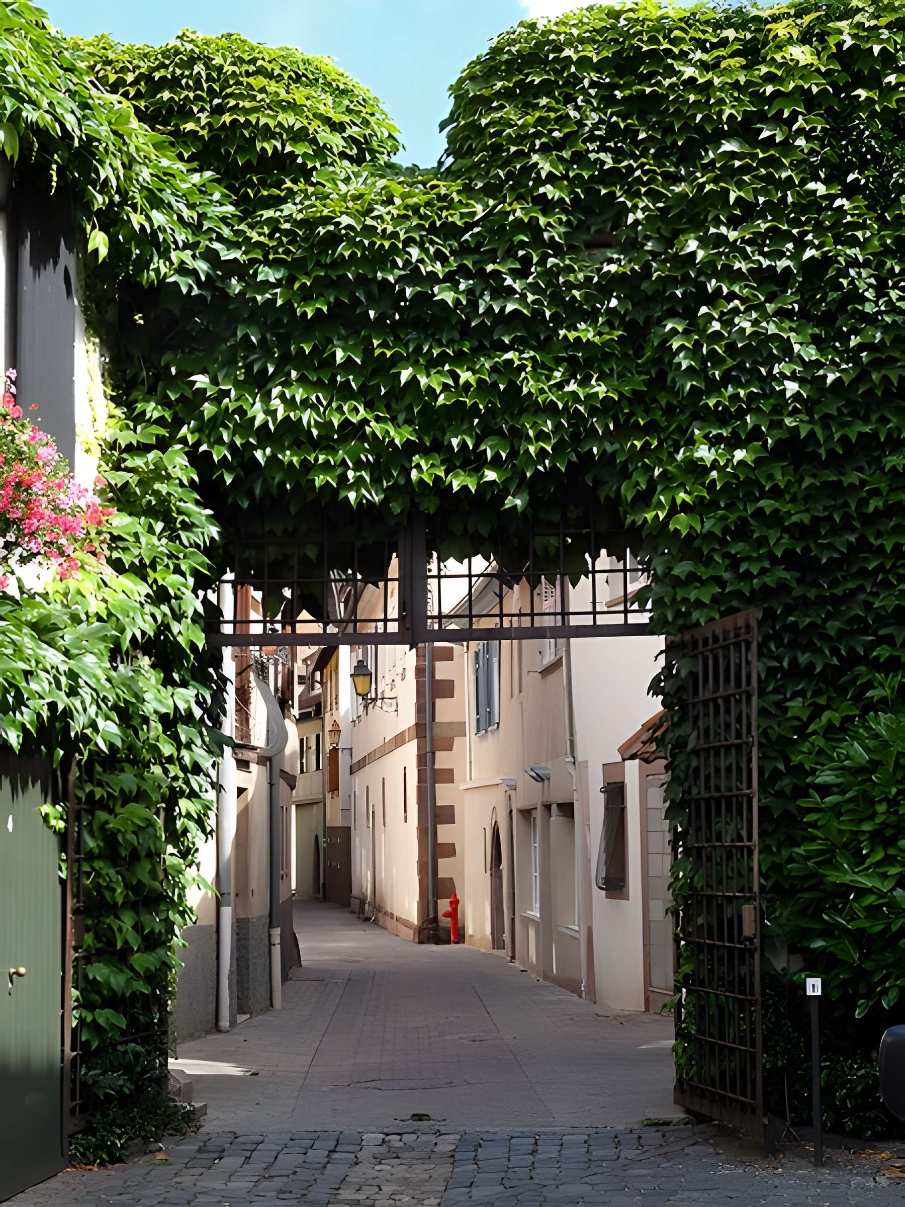 Cour de Gail à Obernai