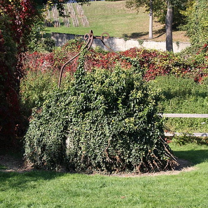 Photo de Abbaye de Port-Royal des Champs