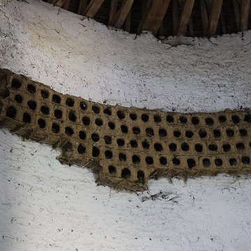 Abbaye de Port-Royal des Champs