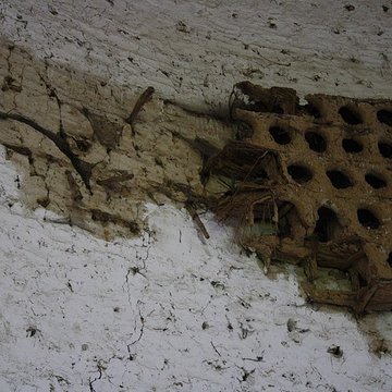 Abbaye de Port-Royal des Champs