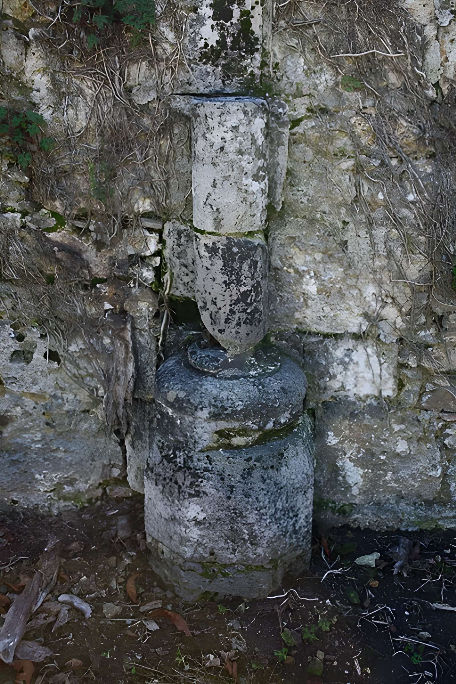 Abbaye de Port-Royal des Champs