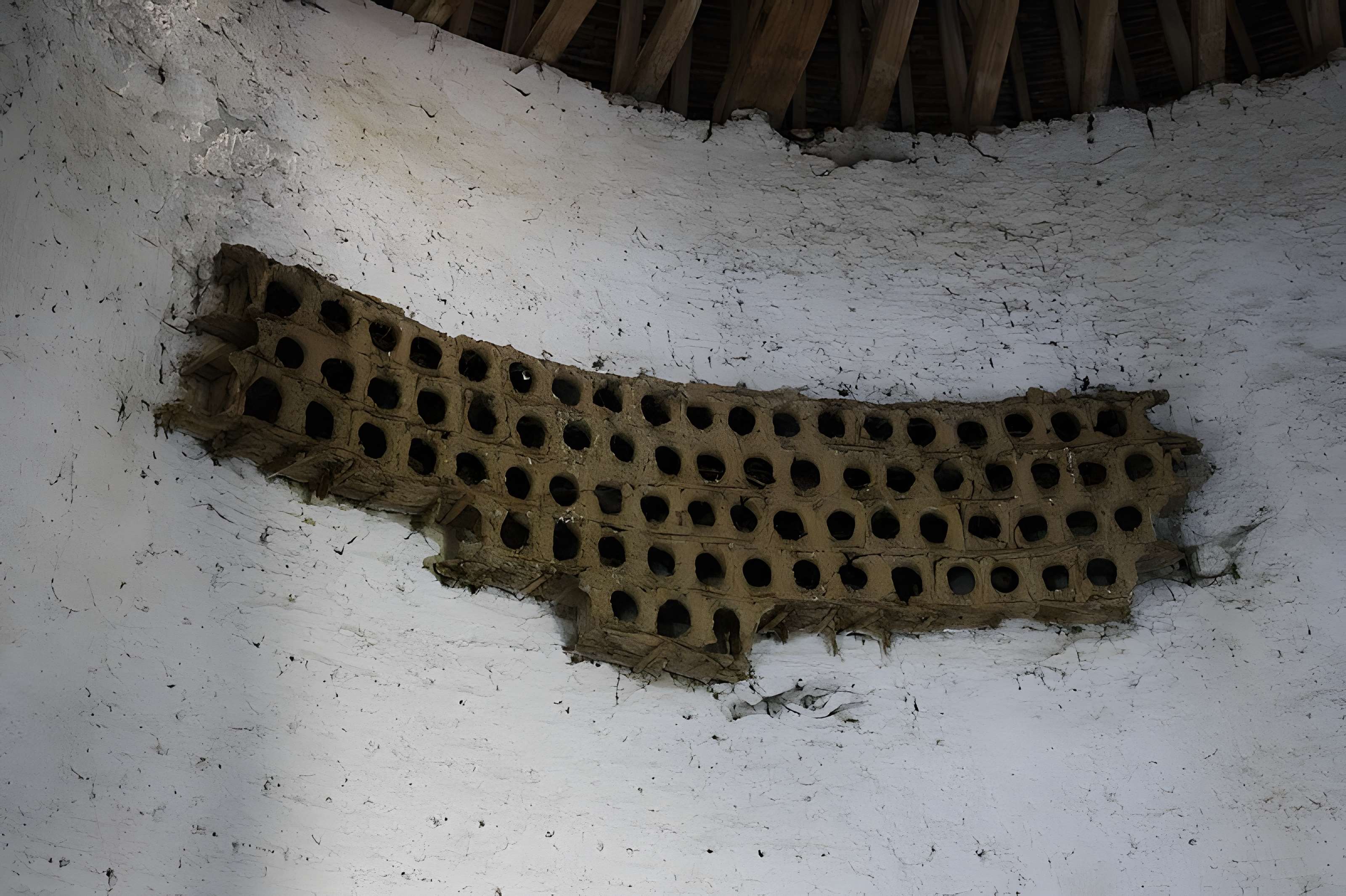 Abbaye de Port-Royal des Champs