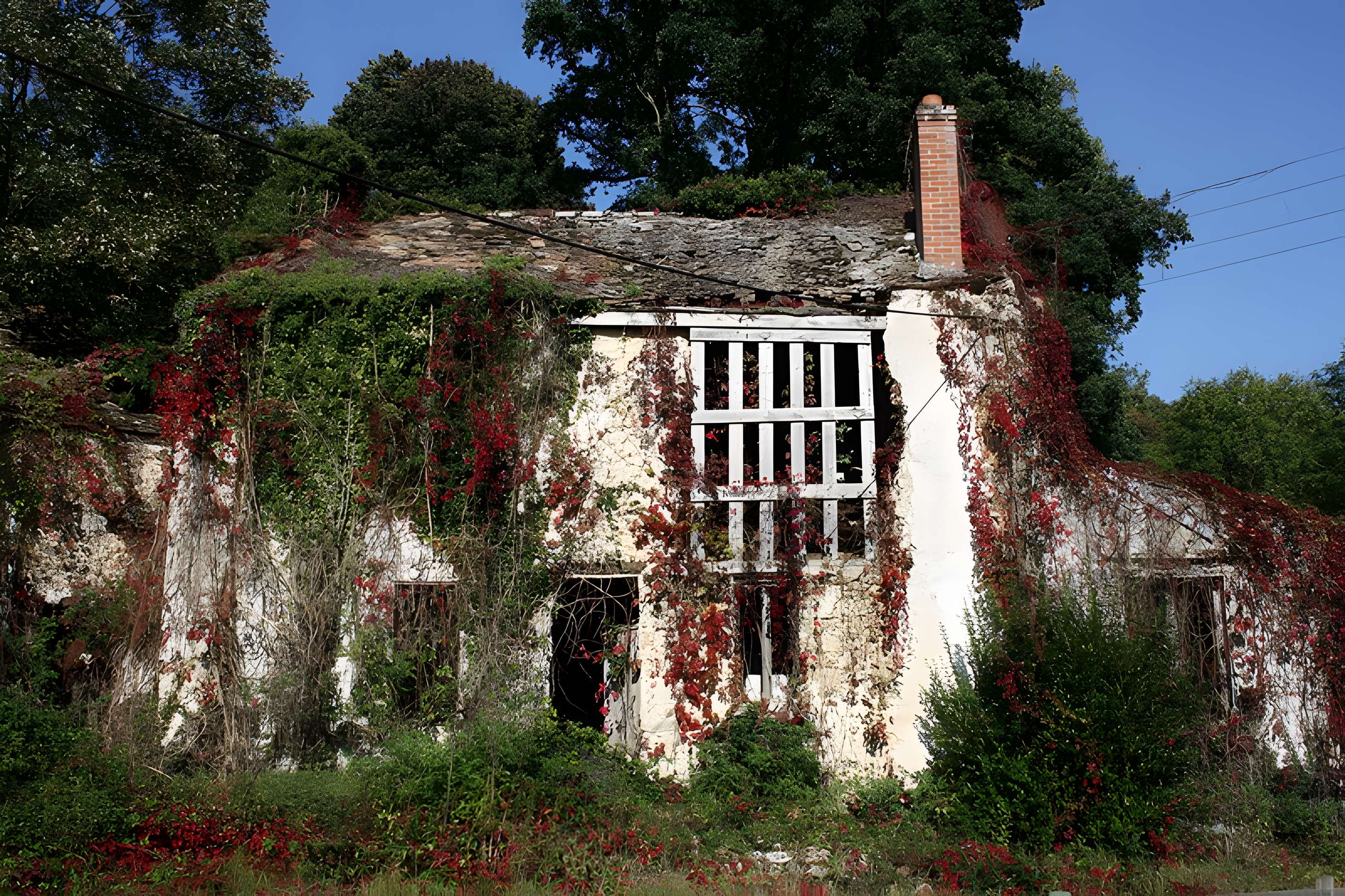 Abbaye de Port-Royal des Champs