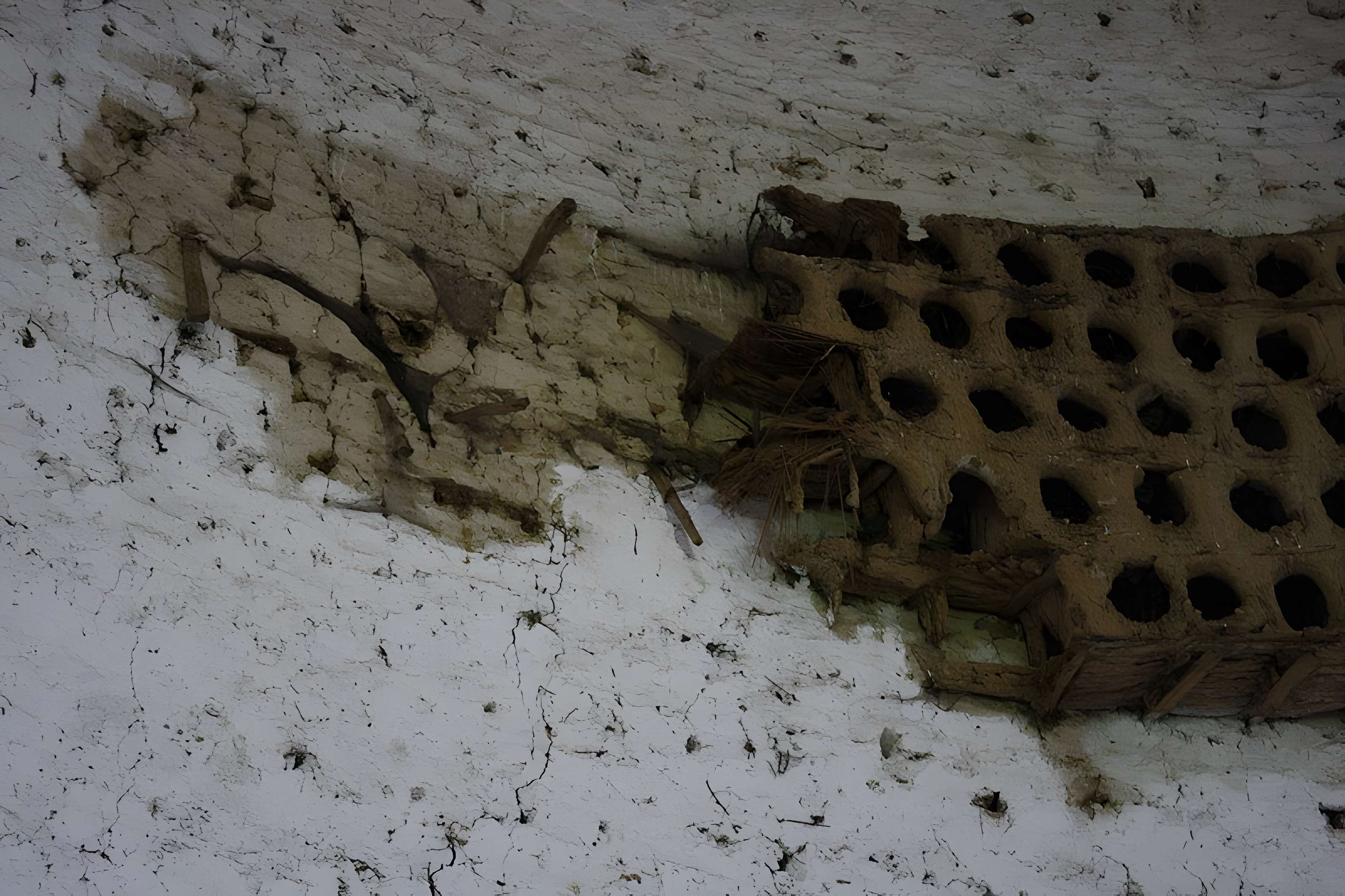 Abbaye de Port-Royal des Champs