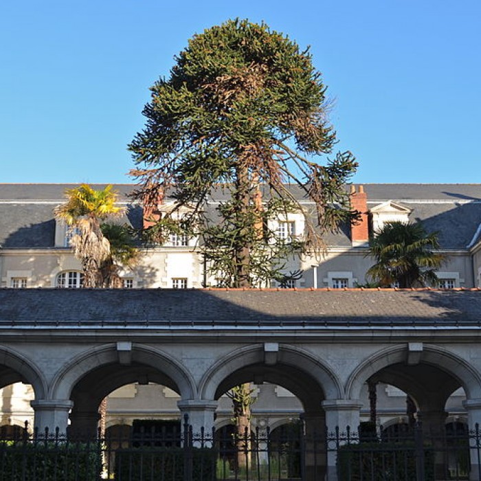 Photo de Couvent de la Visitation de Nantes