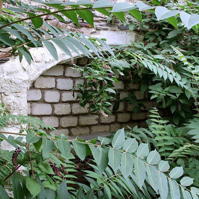 Photo de Couvent des Augustins dAngers