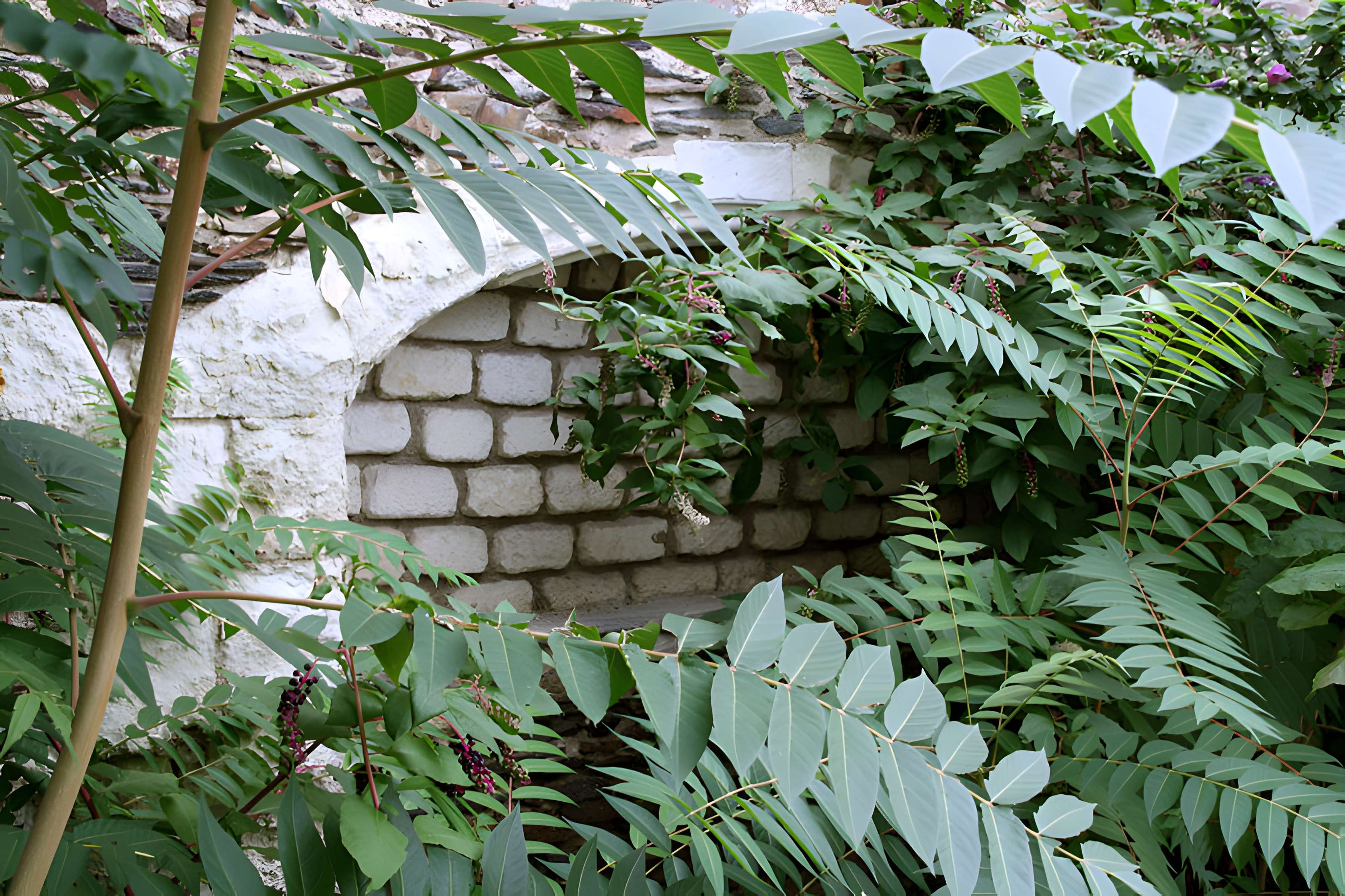 Couvent des Augustins d'Angers