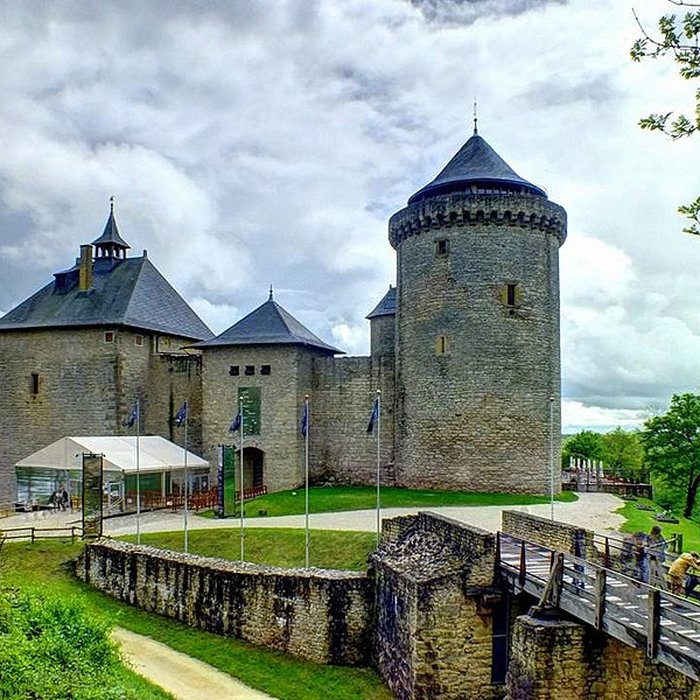 Photo de Ruines du château de Mensberg, dit aussi château de Malbrouck