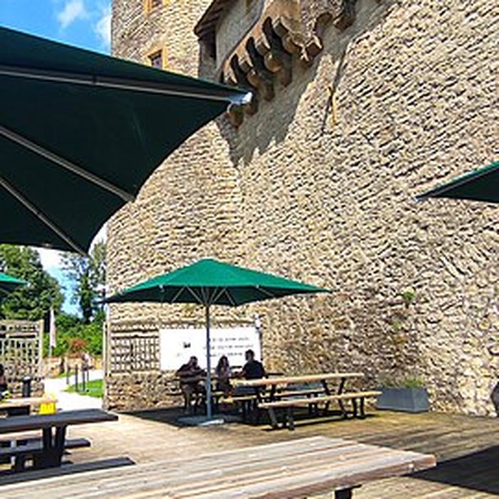 Photo de Ruines du château de Mensberg, dit aussi château de Malbrouck