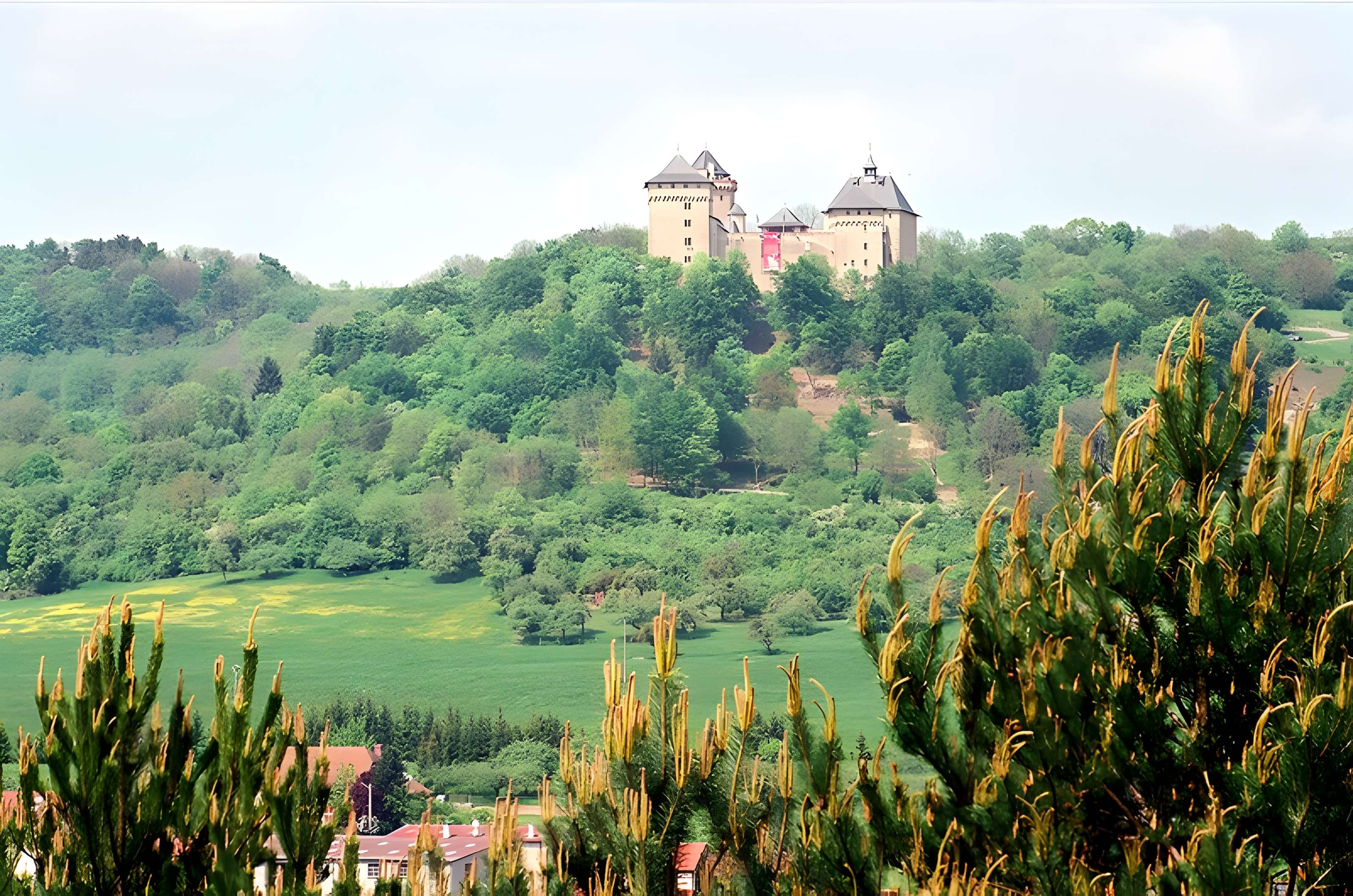 Ruines du château de Mensberg, dit aussi château de Malbrouck