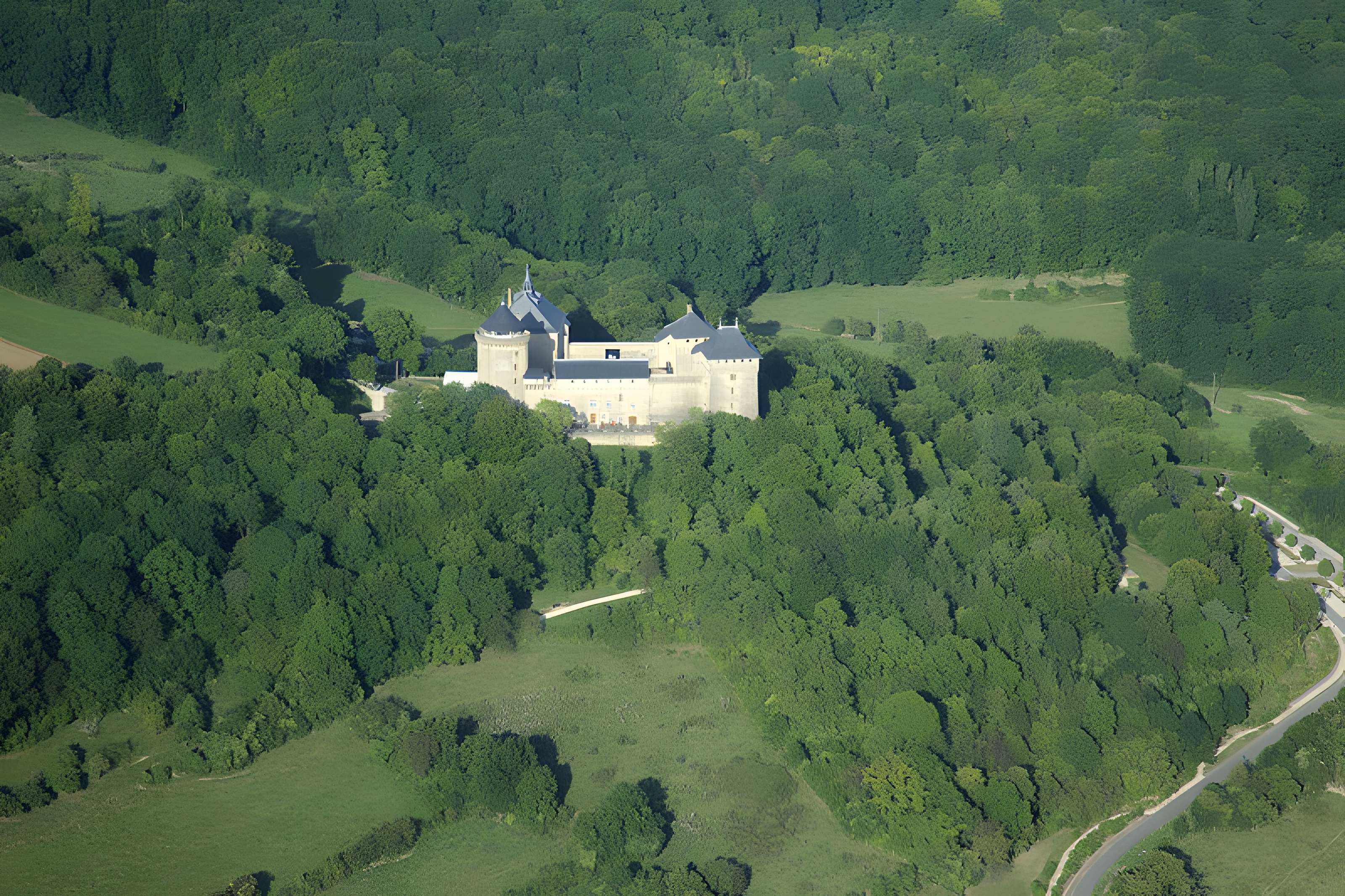 Ruines du château de Mensberg, dit aussi château de Malbrouck