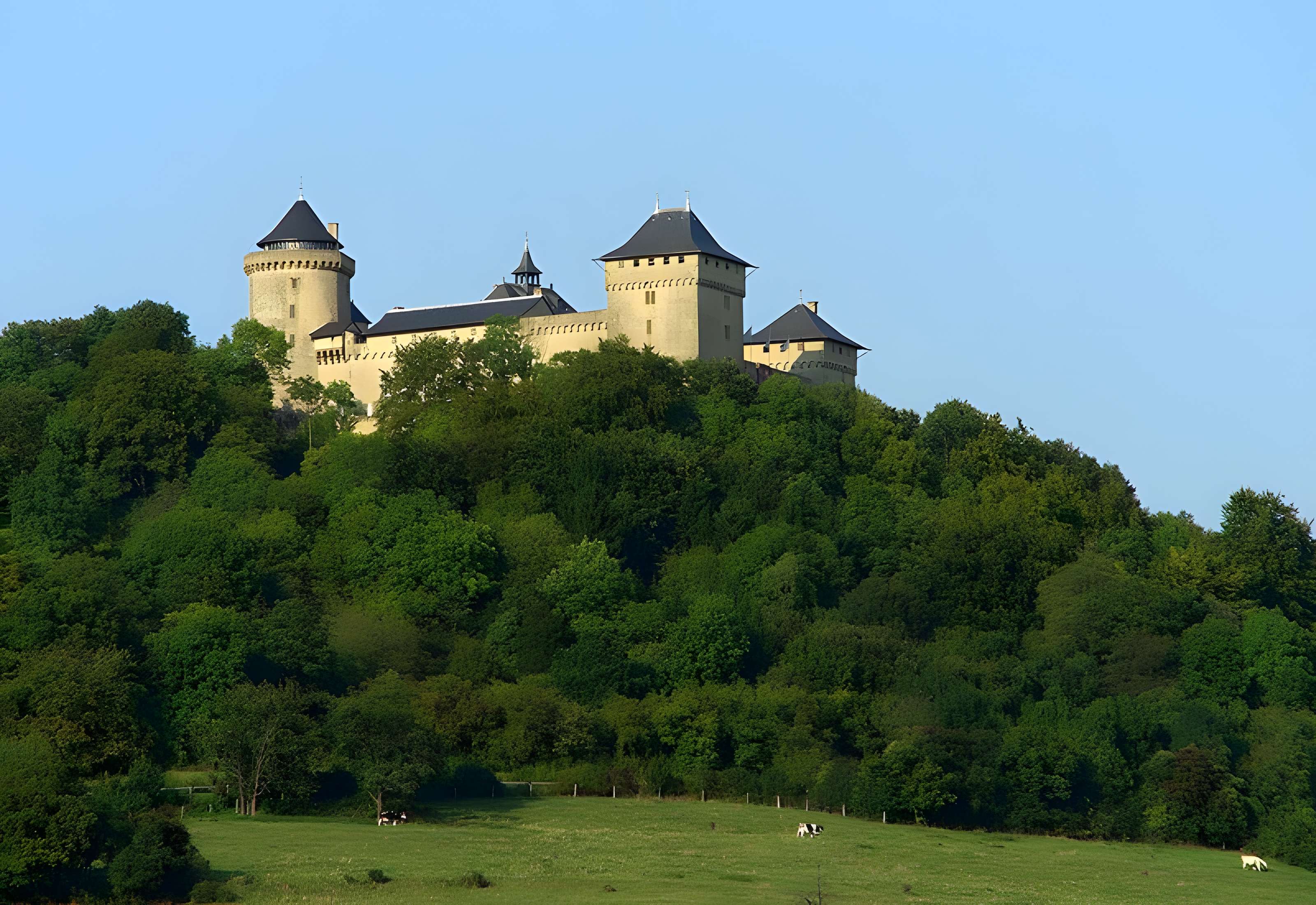 Ruines du château de Mensberg, dit aussi château de Malbrouck