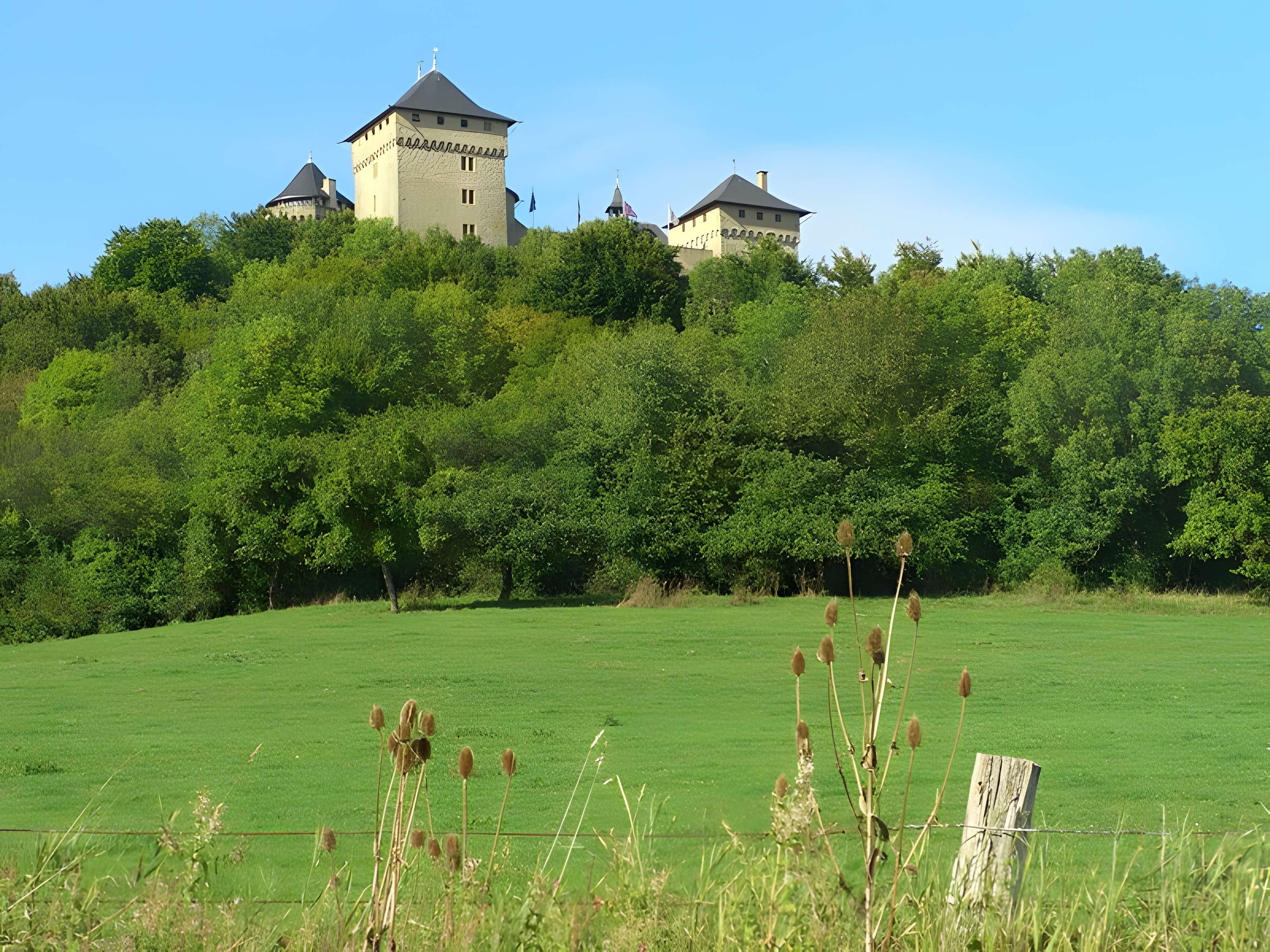 Ruines du château de Mensberg, dit aussi château de Malbrouck