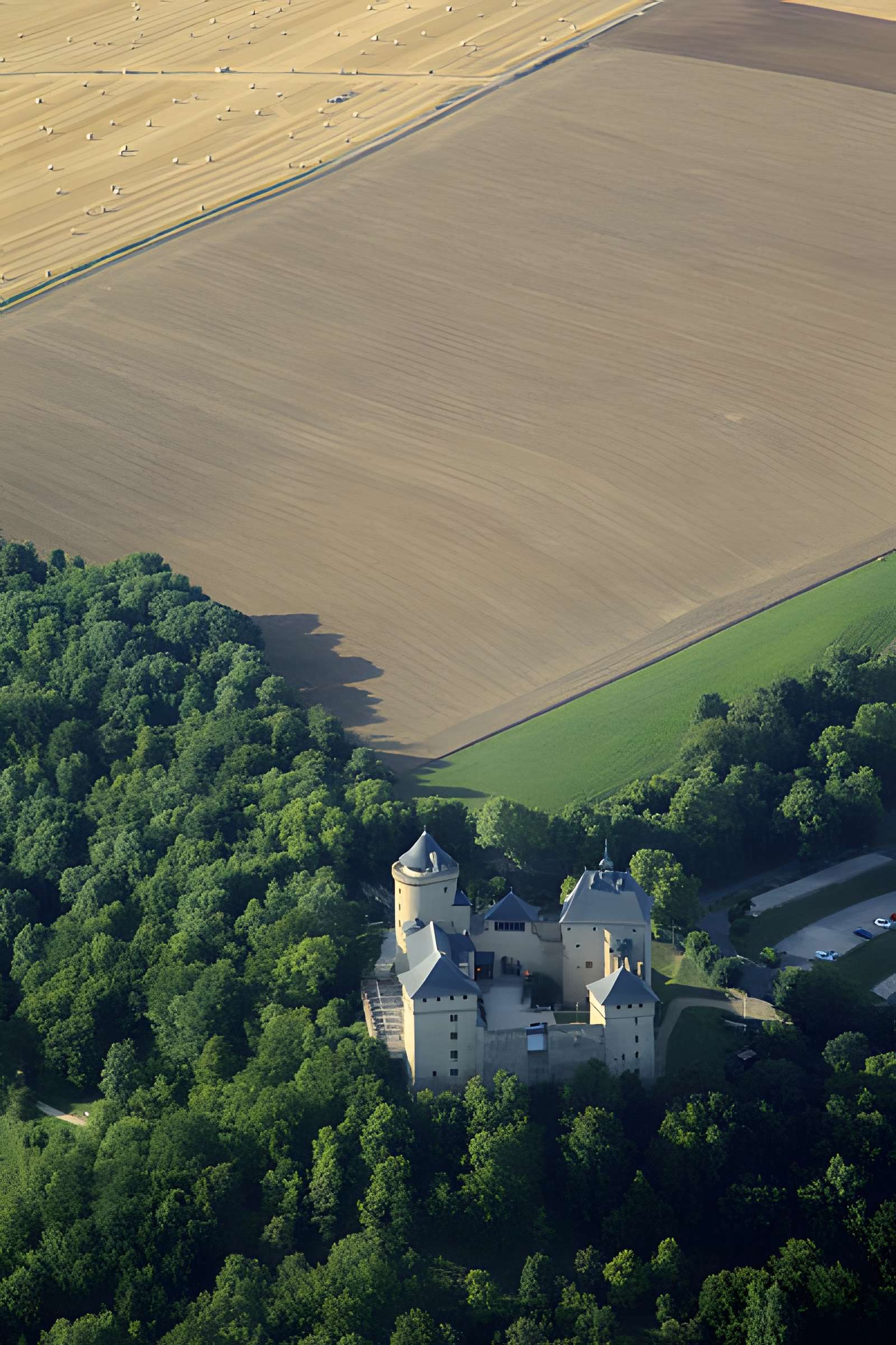 Ruines du château de Mensberg, dit aussi château de Malbrouck