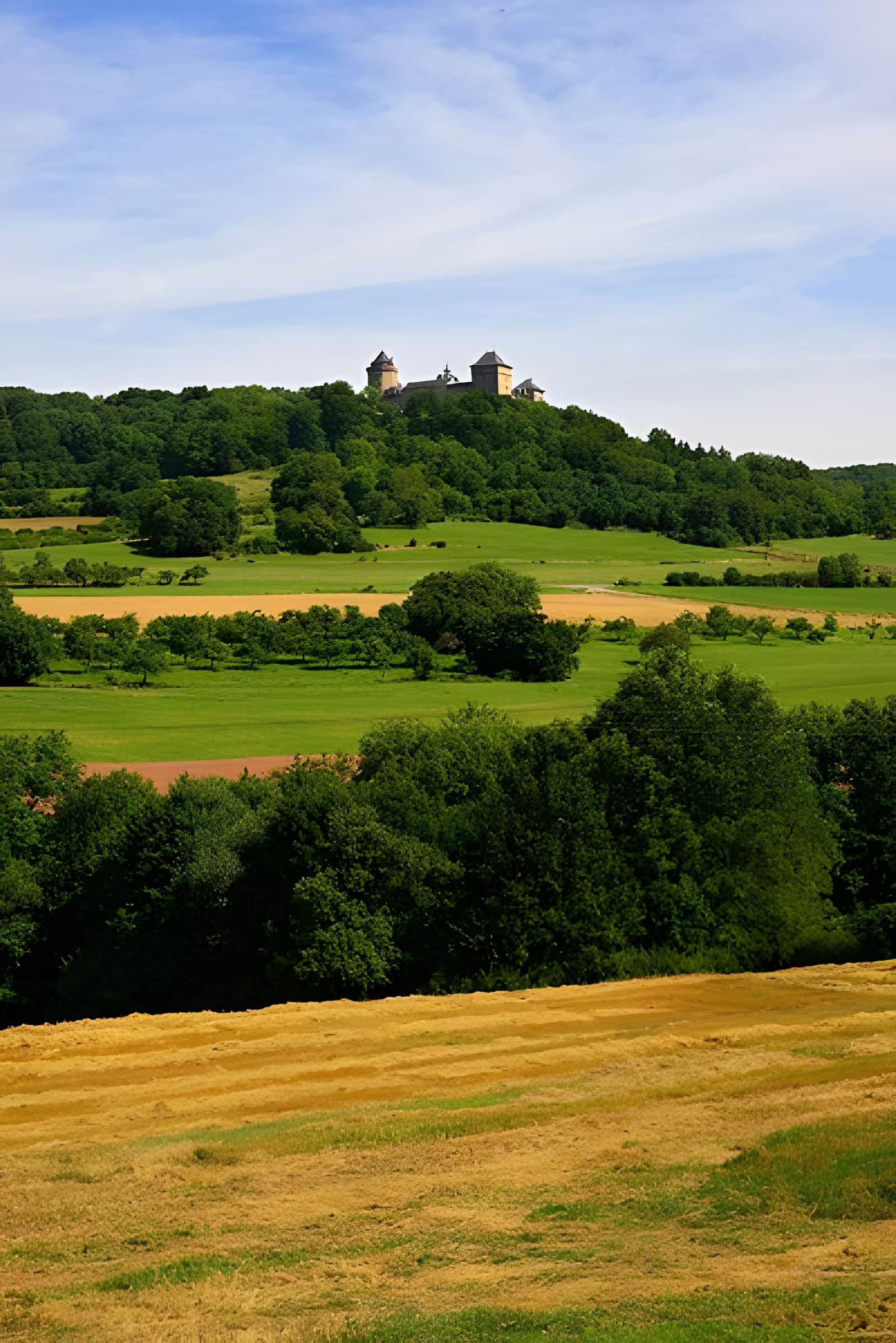 Ruines du château de Mensberg, dit aussi château de Malbrouck