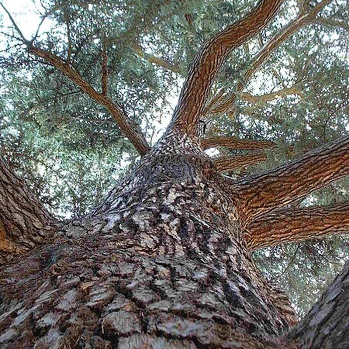 Photo de Château de Malmaison