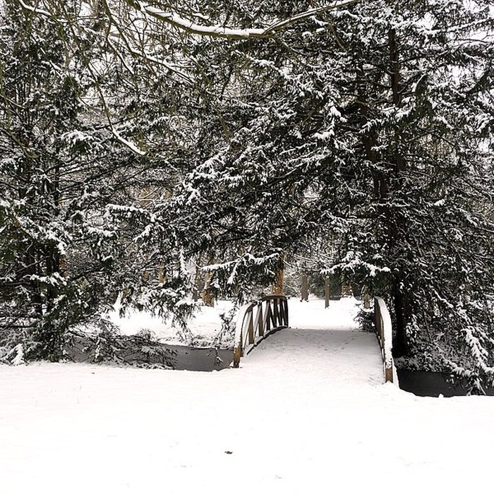 Photo de Château de Malmaison