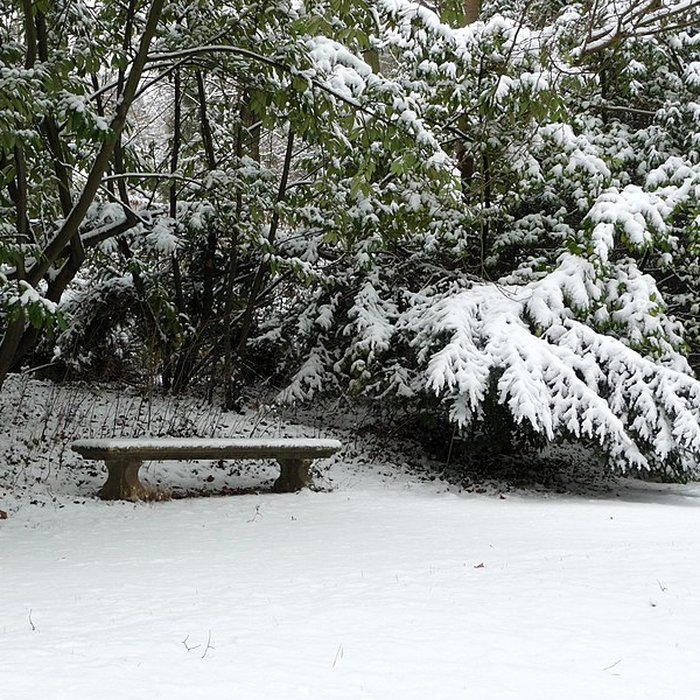 Photo de Château de Malmaison