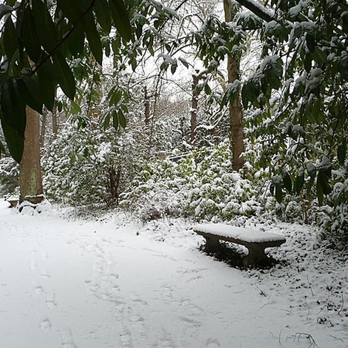Photo de Château de Malmaison