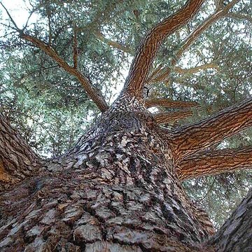 Château de Malmaison