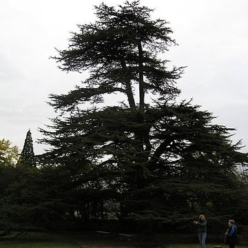 Château de Malmaison