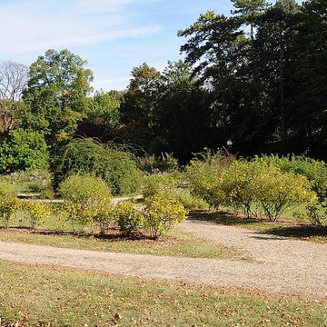 Château de Malmaison